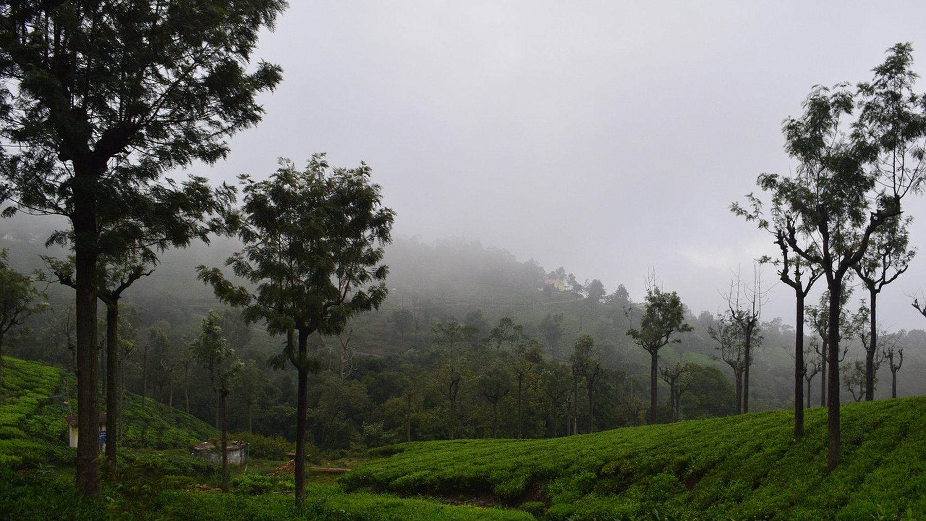 Coonoor
